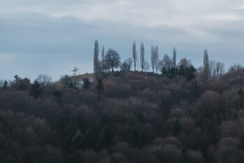 Von Gamlitz auf den Sernauberg – Rundwegwanderung 18 20 schererkogel