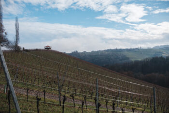 Von Gamlitz auf den Sernauberg – Rundwegwanderung 23 24 weingarten pavillon serauberg
