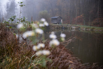 4 himmelreichgraben teiche