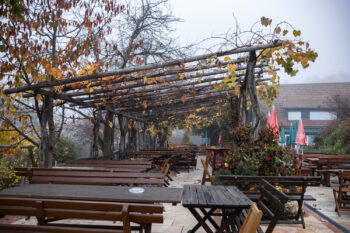 6 buschenschank schneiderannerl