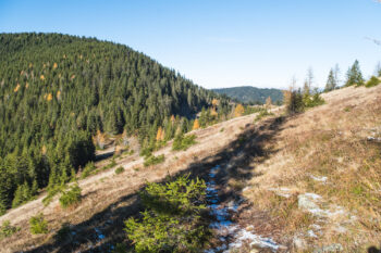 9a sattel fensteralm