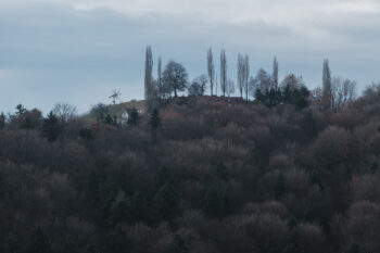 Von Gamlitz auf den Sernauberg – Rundwegwanderung
