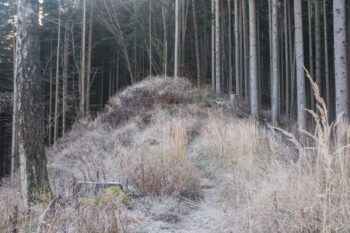 wanderweg herrensteig