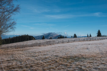 winterliche wiese hochanger