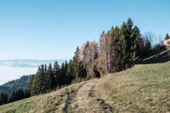 14 waldweg lorenzberg