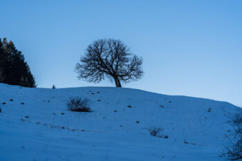 Tour de Kur – Winterwanderung in Bad Mitterndorf 9 8 winterlandschaft ausseerland