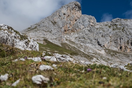 Wanderregion Schladming-Dachstein