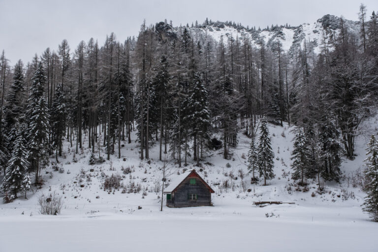 Joseralm & Josersee vom Bodenbauer als Schneeschuhtour - Titelbild