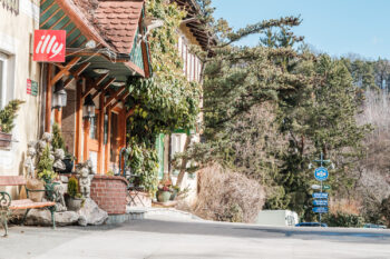 Leechwald – zwischen Hilmteich & Mariatrost 12 haeuserl im wald