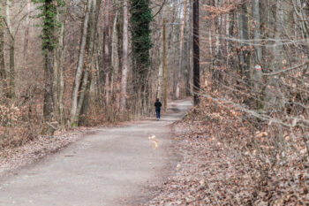 Leechwald – zwischen Hilmteich & Mariatrost 14 leechwald laufstrecke