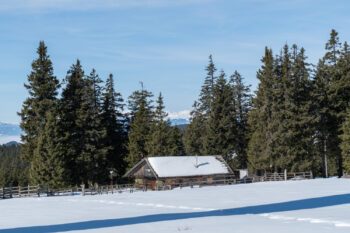 rattener alm waldheimat