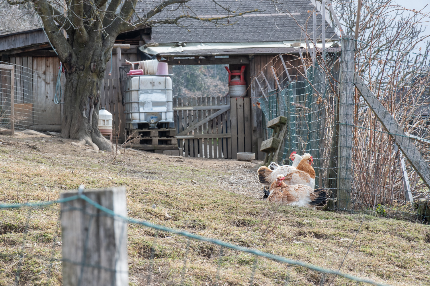 Über die Platte zur Stephanienwarte 10 11 hof platte
