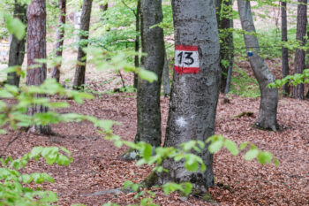 10 wanderweg bad gleichenberg