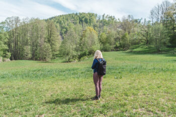 12 wiesenweg stuebing