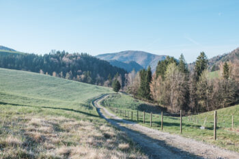R13 Rötschgrabenweg in Semriach 3 2 wanderung richtung roetschgraben