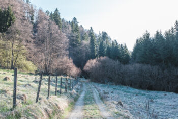 R13 Rötschgrabenweg in Semriach 5 4 wanderweg roetschgraben