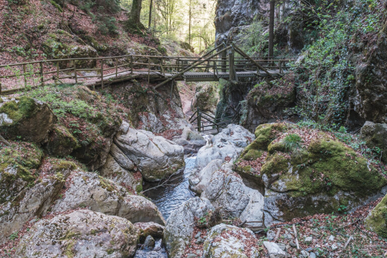 Kesselfallklamm-Rundweg - Titelbild
