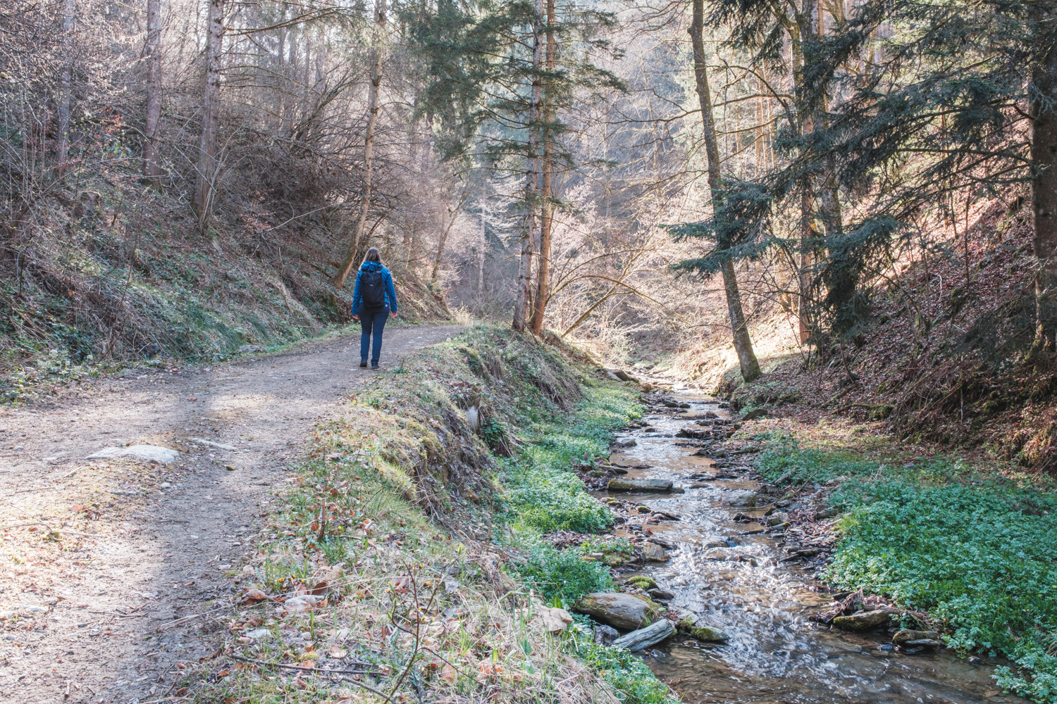 R13 Rötschgrabenweg in Semriach