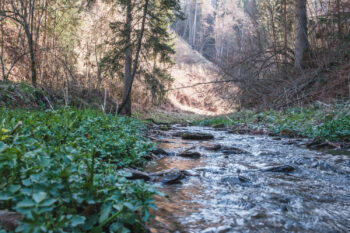 R13 Rötschgrabenweg in Semriach 8 6a roetschbach