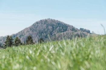 R13 Rötschgrabenweg in Semriach 9 7 hausberg semriach