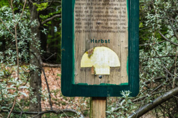 7 schautafel walderlebnisspfad bad gleichenberg