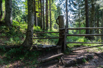 2 kuhgatter fludergrabenalm