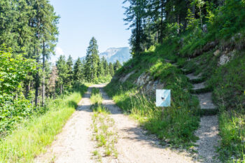 3 wanderweg simonywarte