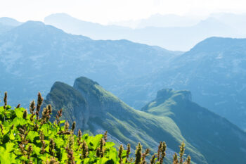 ausblick braeuning