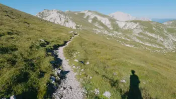 3 trails