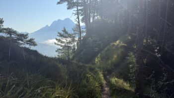 Dörfelstein (1.070 m) Rundweg von Hall 10 10 bergwald panorama