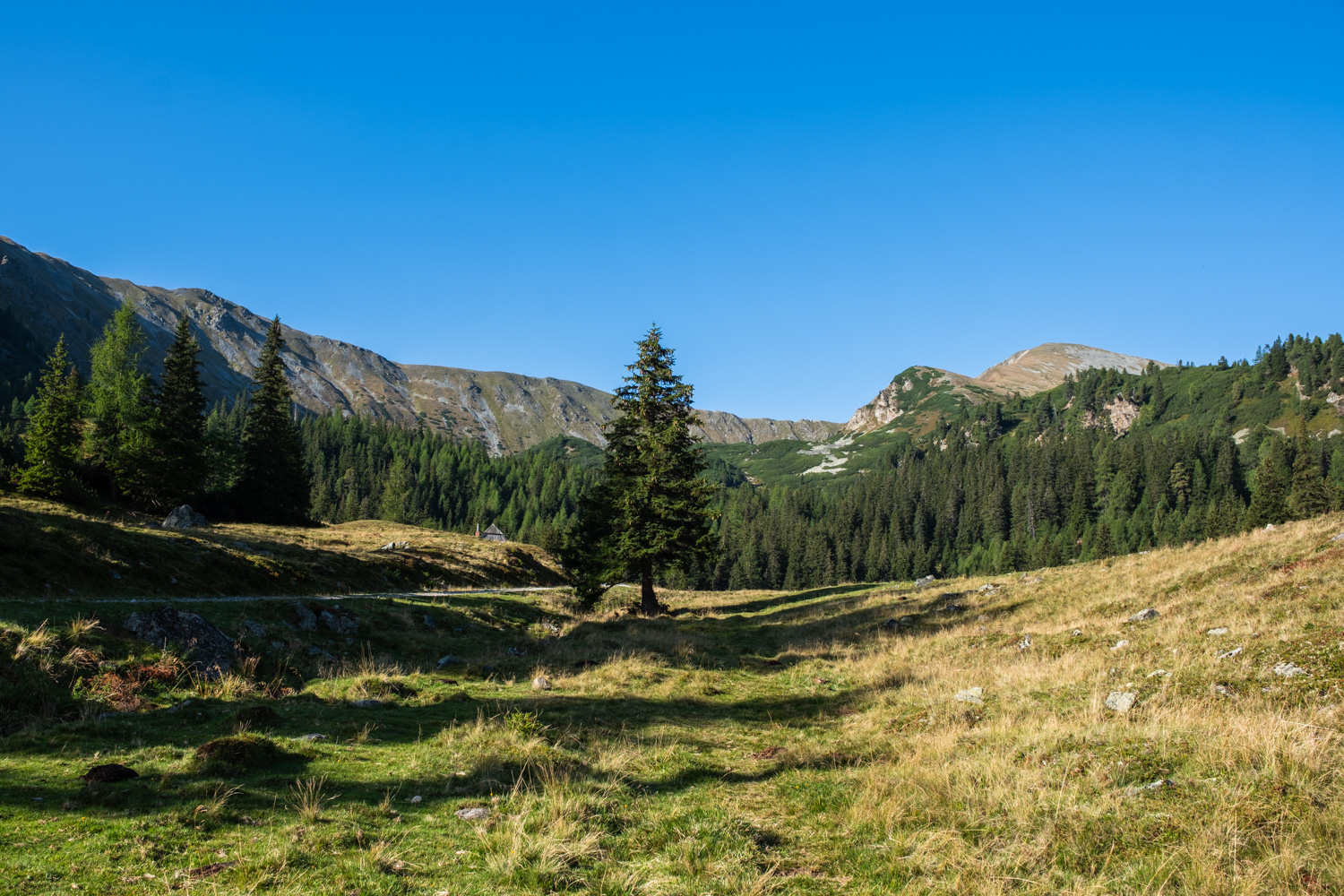 Hämmerkogel (2.253 m) 2 2 haemmerkogel blick obere bodenhuette