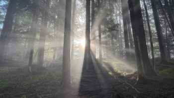 Dörfelstein (1.070 m) Rundweg von Hall 4 4 morgenstimmung doerfelstein