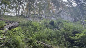 Dörfelstein (1.070 m) Rundweg von Hall 6 6 doerfelstein felsiger