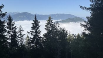 Dörfelstein (1.070 m) Rundweg von Hall 7 7 ausblick wanderweg doerfelstein