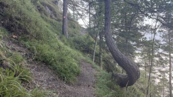 Dörfelstein (1.070 m) Rundweg von Hall 8 8 berghang pfad