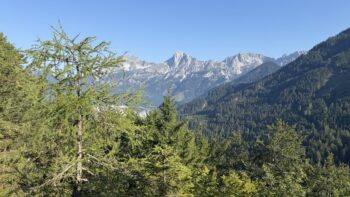 Dörfelstein (1.070 m) Rundweg von Hall 9 9 ausblick scheiblingstein
