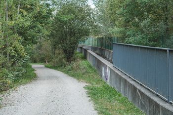 Murauen – zwischen Kalsdorf und Gössendorf 10 10 fischtreppe goessendorf