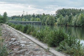 Murauen – zwischen Kalsdorf und Gössendorf 4 4 murauen kalsdorf deich