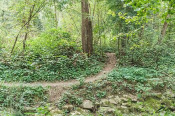 Murauen – zwischen Kalsdorf und Gössendorf 8 8 wanderweg goessendorf